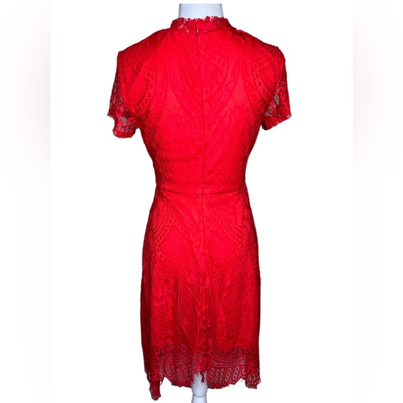 NWT Beautiful Red Lace Dress by Francesca’s - Picture 3 of 3